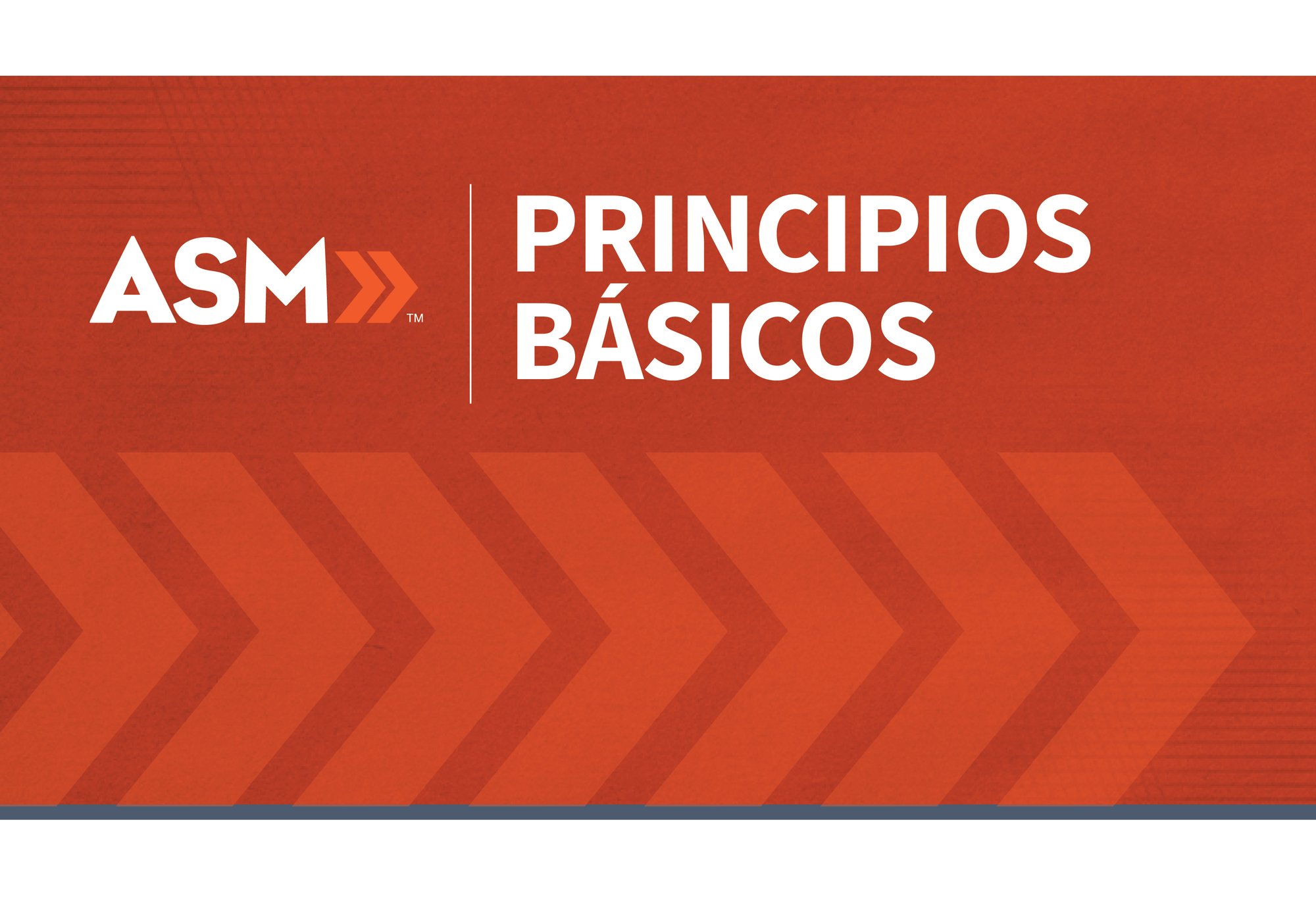 ASM_Title Slide Comps_Principios Básicos